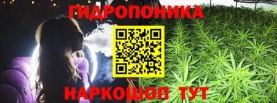 стаф Канаш