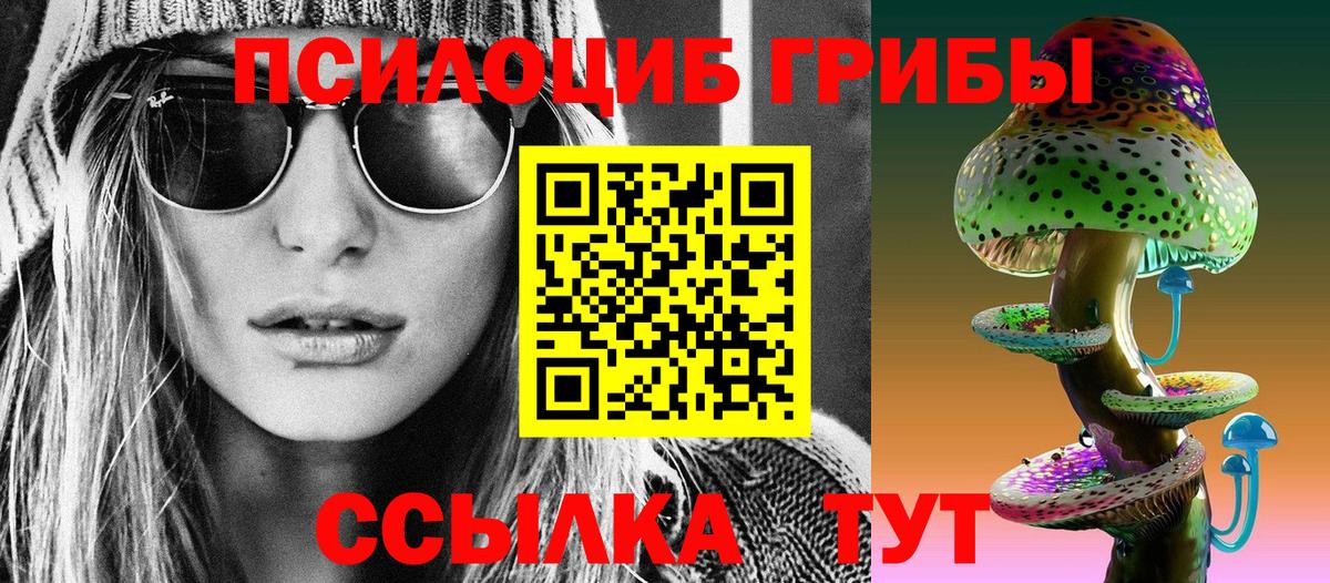 хочу наркоту  Вход с VPN  Крымск  Галлюциногенные грибы прущие грибы 