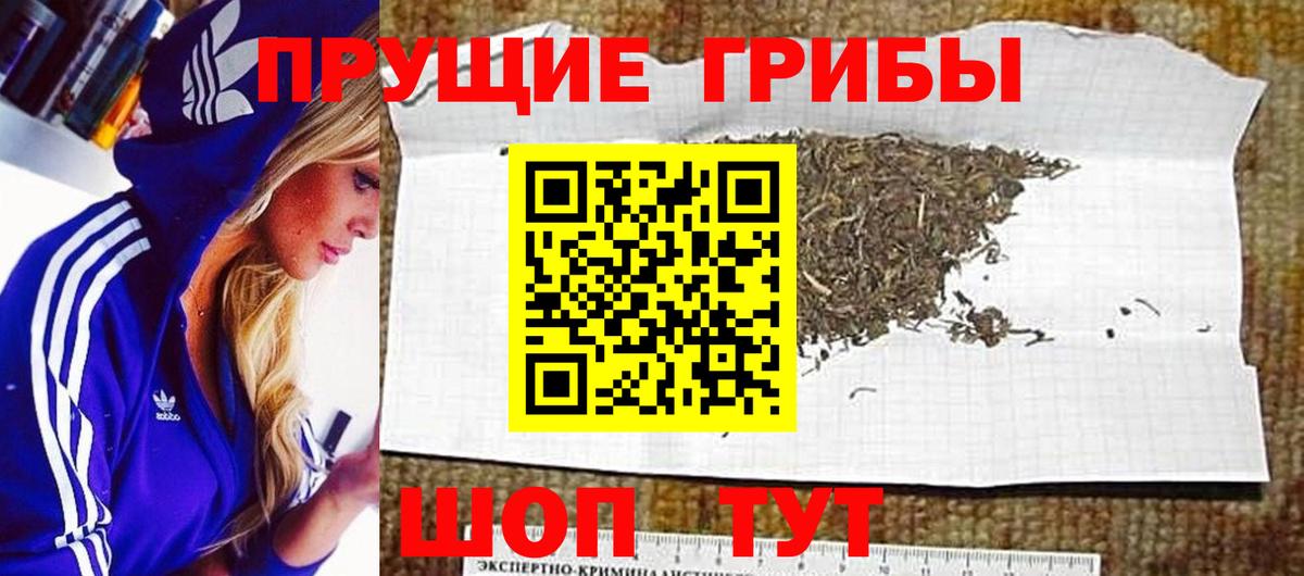 Галлюциногенные грибы мухоморы Крымск